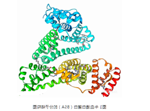 BSA-IGG BSA-IGG