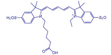 Cy5.5-NHS Cy5-NHS ester 花菁染料CY5标记活化酯球赛在线直播平台
生物提供
