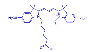 Cy3 结构式 Cy3 结构式