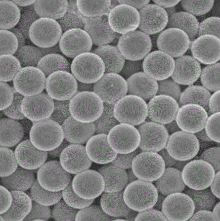 4.5微米氨基磁珠 | 单分散氨基磁珠 micron amino magnetic beads