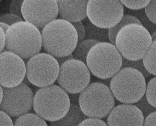 链霉亲和素-聚苯乙烯微球  Streptavidin Polystyrene Particles