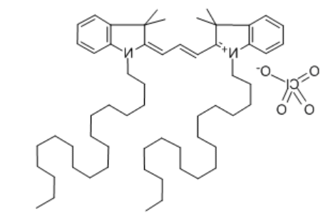 Dil(橙色荧光探针/染料)
