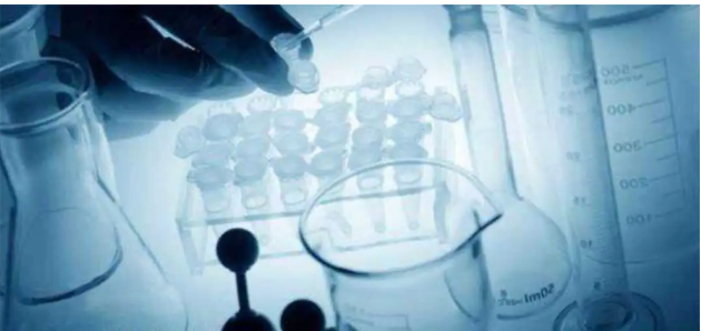 Chitosan-PEG-Lectins