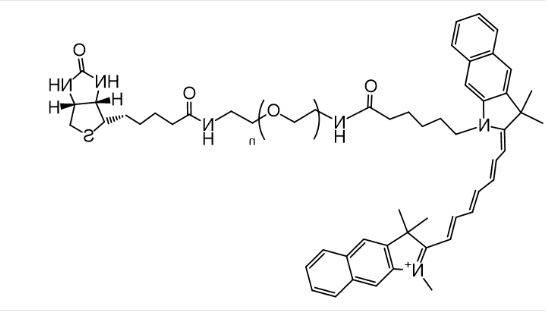 Biotin-PEG-CY7.5