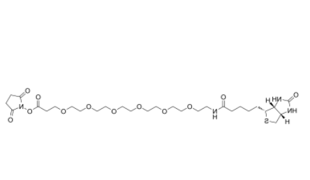Biotin-PEG6-NHS ester