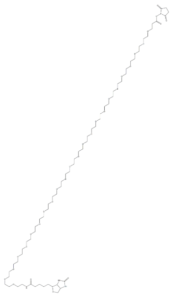 (+)-Biotin-PEG24-NHS Ester