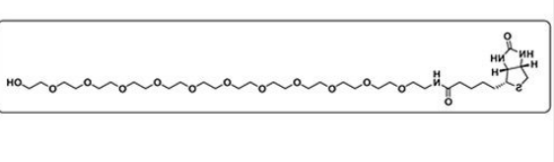 Biotin-PEG12-OH