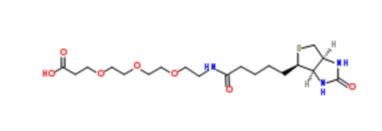 Biotin-PEG3-acid
