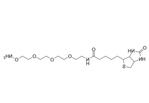 BIOTIN-PEG3-OXYAMINE