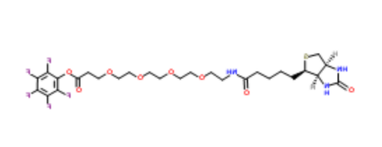 Biotin-PEG4-TFP ester