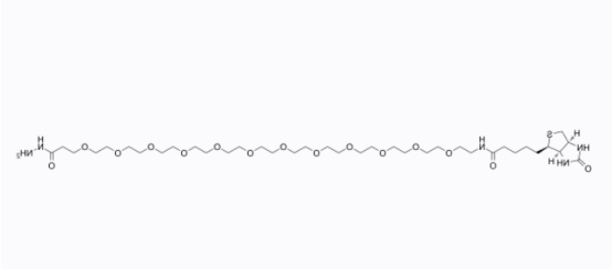 Biotin-PEG12-hydrazide