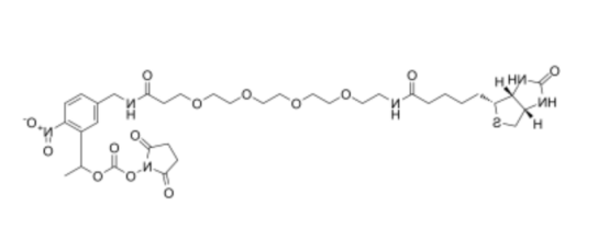 PC-Biotin-PEG4-NHS carbonate