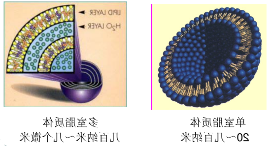 半乳糖修饰阿西替尼脂质体 半乳糖修饰阿西替尼脂质体