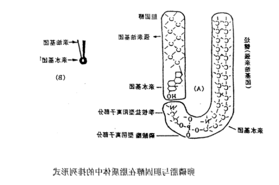 盐酸米托蒽醌脂质体
