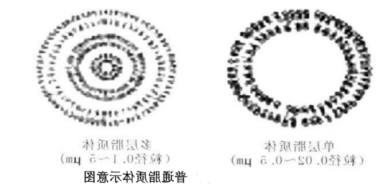 环孢素眼用脂质体