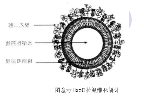 依托泊苷脂质体