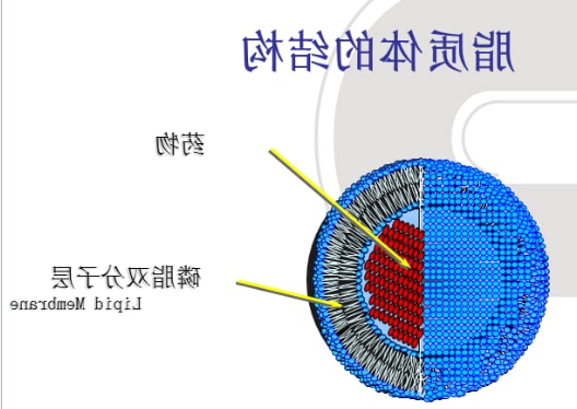 伊立替康(CPT-11)脂质体