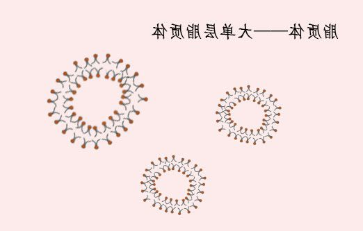 FAM标记的脂质体