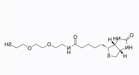 Biotin-PEG2-SH Biotin-PEG2-SH