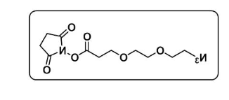 azido-PEG2-NHS ester