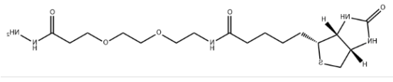 Biotin-PEG2-hydrazide