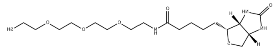 Biotin-PEG3-SH Biotin-PEG3-SH