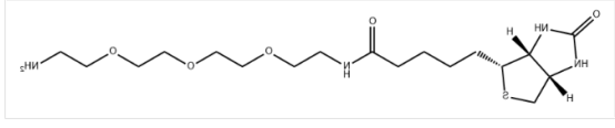 Biotin-PEG3-NH2