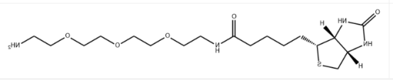 Biotin-PEG4-amine