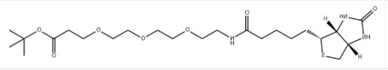 Biotin-PEG3-Boc