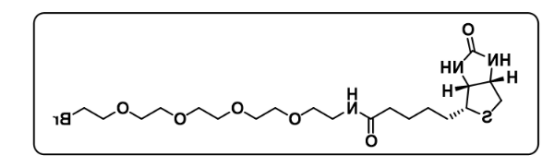 Biotin-PEG4-Br Biotin-PEG4-Br