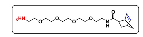 Norbornene-PEG4-amine Norbornene-PEG4-amine