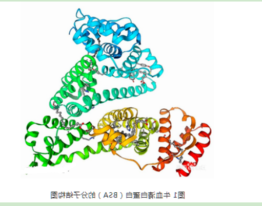 生物素PEG牛血清白蛋白
