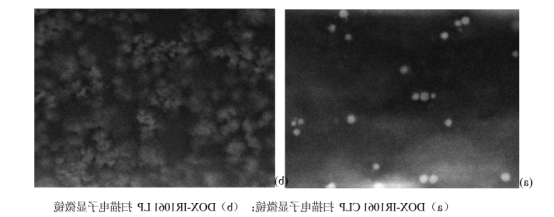 (DOX-IR1061CLP)