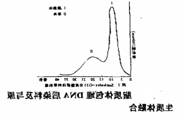 中性荧光脂质体用于活性染料的共轭