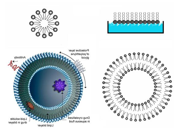DOPS:DOPC (90:10) Liposomes DOPS:DOPC (90:10) Liposomes