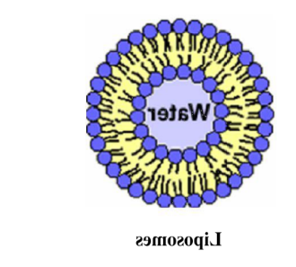 DOTAP:DOPC (20:80) Liposomes 