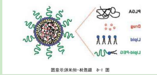 微米级脂质复合物
