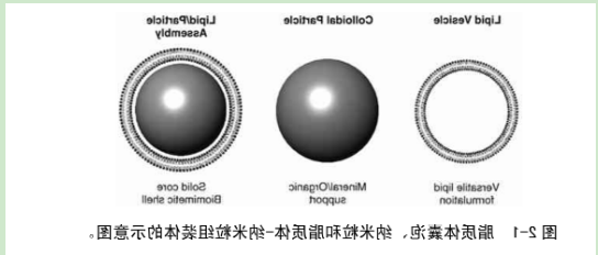 巨型单分子囊泡GUV 巨型单分子囊泡GUV