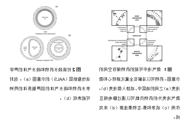 全氟己烷脂质体