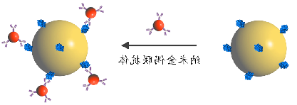 纳米金偶联抗体/蛋白试剂盒