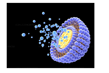 PC:Cardiolipin (60:40) Liposomes 