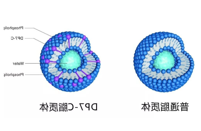 13:0 Diether PC:Chol (70:30) Liposomes 