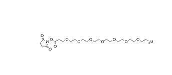 Azido-PEG7-NHS ester