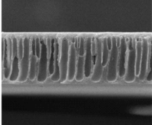 氨基化PDMS膜 氨基化PDMS膜