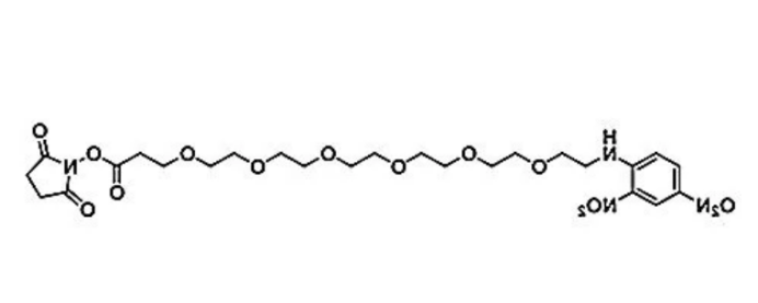 DNP-PEG6-NHS ester