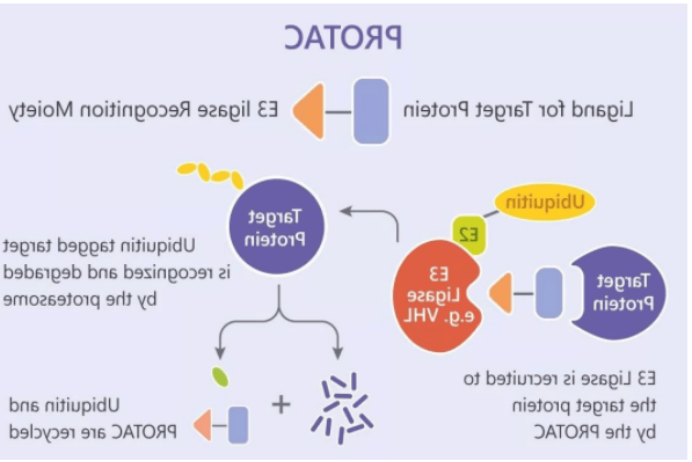 m-PEG5-CHO，