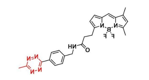 BDP FL methyltetrazine