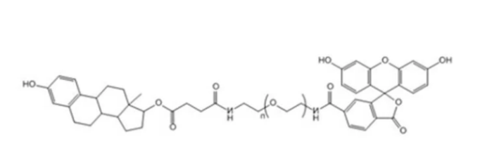 FITC-PEG-Estrogen
