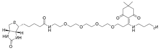 Dde Biotin Azide