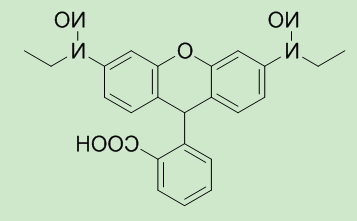 1702975673101822.png image.png
